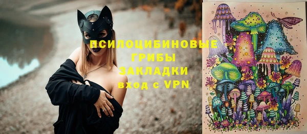 PSILOCYBIN Балахна